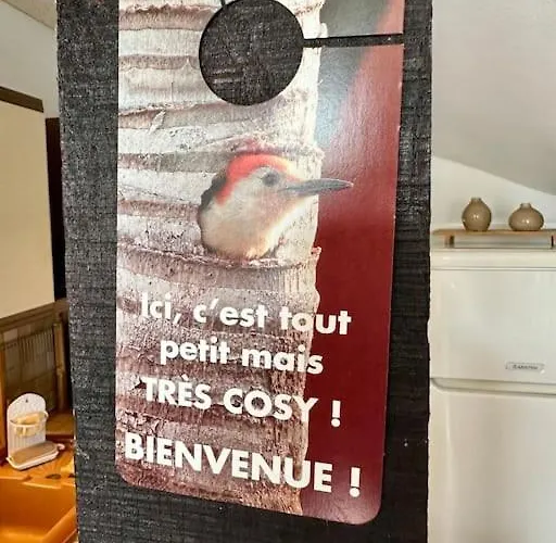 Apartamento L'authentique - Maison Avec Jardin - 4 Personnes